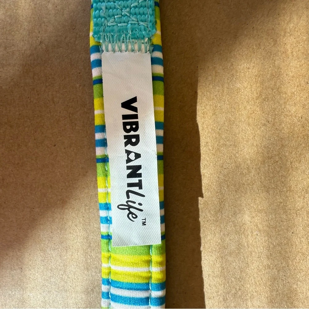 NWOT Padded Adjustable Small Teal Blue Green Dog Collar Bone Shape Enamel Buckle